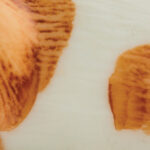 Brown & White Antiqued