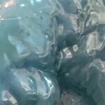 Georgia Blue Carnival